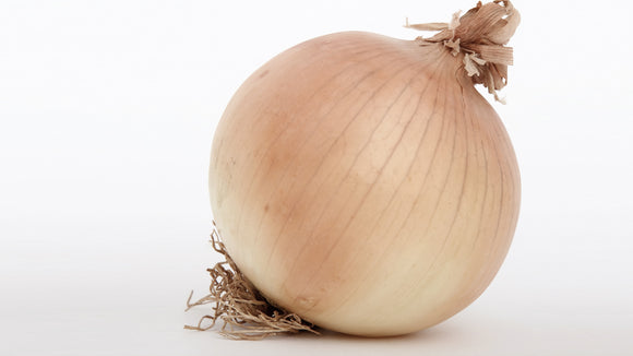 Dutch Onion (price each)
