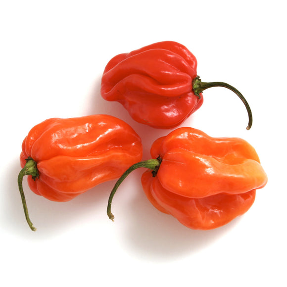 Scotch bonnet peppers (price per kg)