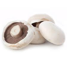 Flat mushrooms (price per kg)